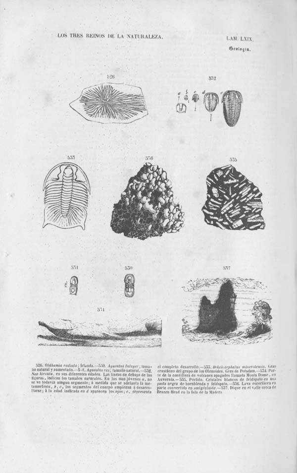 Página 506. Tomo noveno. Los Tres Reinos de la Naturaleza. Museo Pintoresco. Mineralog&iacute;a.