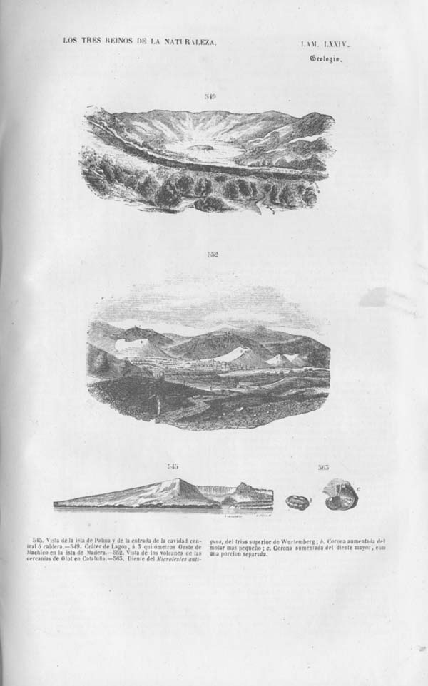Página 527. Tomo noveno. Los Tres Reinos de la Naturaleza. Museo Pintoresco. Mineralog&iacute;a.