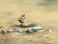 Patos en el río Huerva de Zaragoza 2008 3