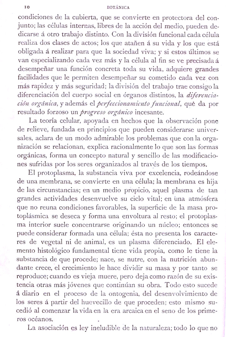 Página 10. Preliminares. Botánica I por Odón de Buen. Historia Natural. Montaner y Simón, editores. 1891. Página 10. Preliminares. Botánica I por Odón de Buen. Historia Natural. Montaner y Simón, editores. 1891.