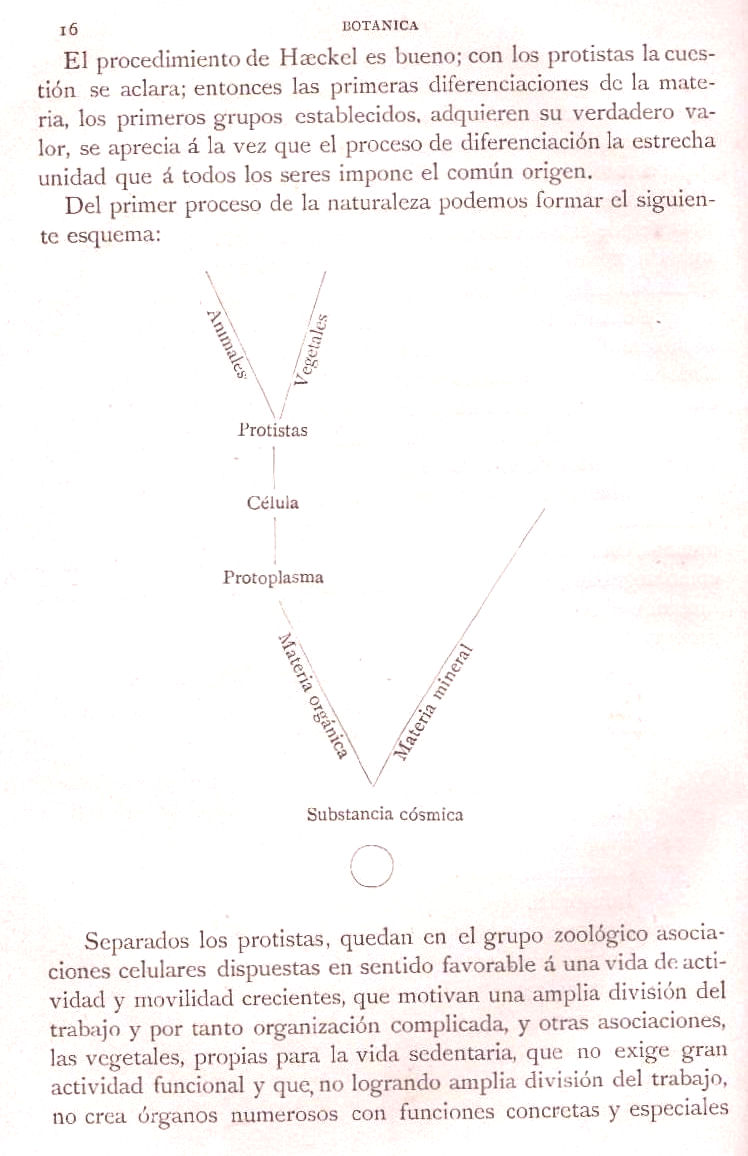 Página 16. Preliminares. Botánica I por Odón de Buen. Historia Natural. Montaner y Simón, editores. 1891. Página 16. Preliminares. Botánica I por Odón de Buen. Historia Natural. Montaner y Simón, editores. 1891.
