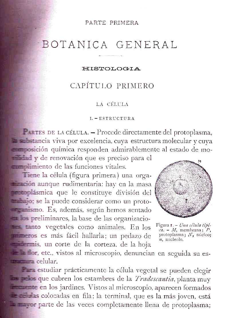 Página 27. Botánica General. Histología. Botánica I por Odón de Buen. Historia Natural. Montaner y Simón, editores. 1891. Página 27. Botánica General. Histología. Botánica I por Odón de Buen. Historia Natural. Montaner y Simón, editores. 1891.