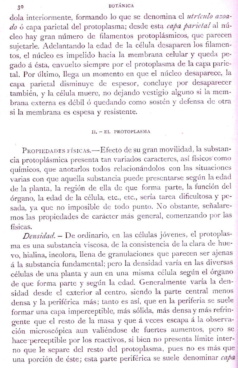 Página 30. Botánica General. Histología. Botánica I por Odón de Buen. Historia Natural. Montaner y Simón, editores. 1891.