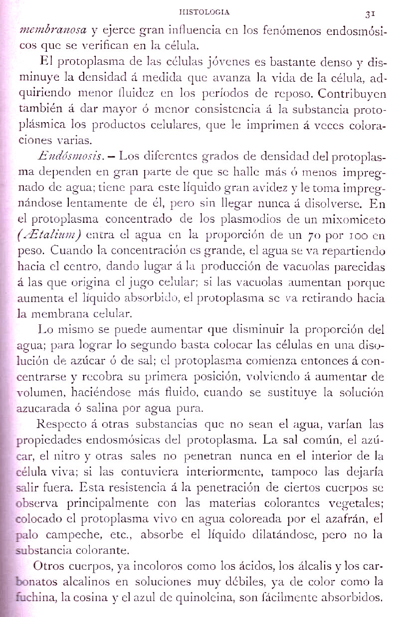 Página 31. Botánica General. Histología. Botánica I por Odón de Buen. Historia Natural. Montaner y Simón, editores. 1891.
