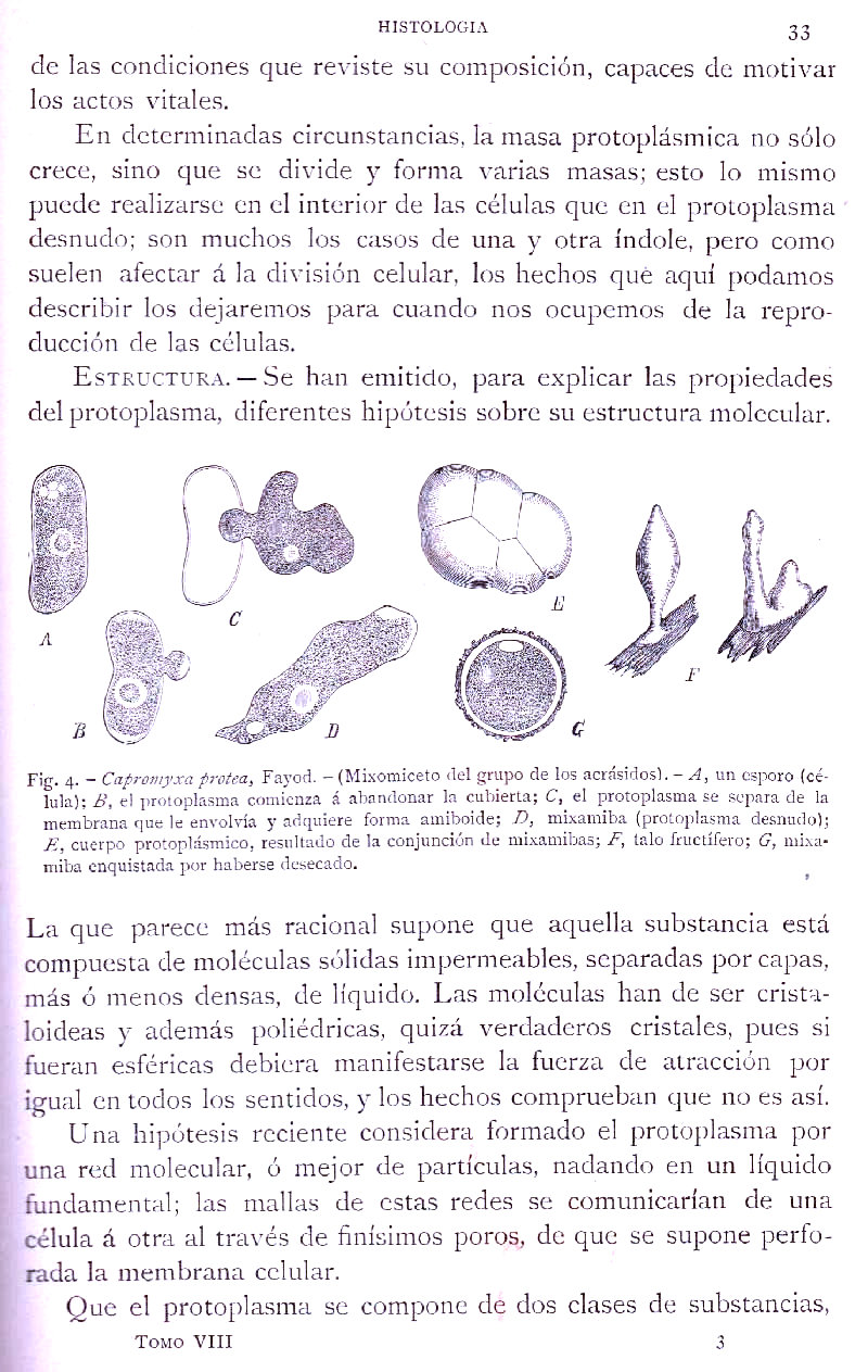 Página 33. Botánica General. Histología. Botánica I por Odón de Buen. Historia Natural. Montaner y Simón, editores. 1891.