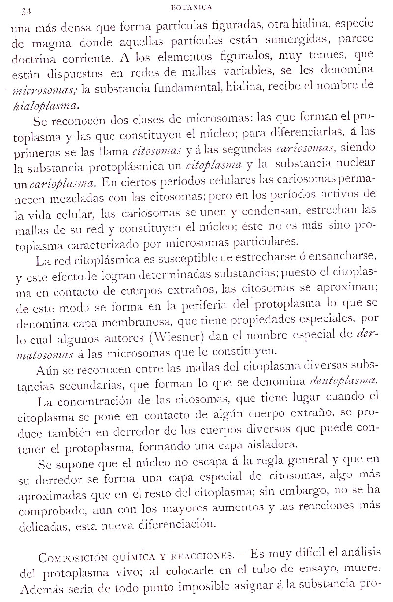 Página 34. Botánica General. Histología. Botánica I por Odón de Buen. Historia Natural. Montaner y Simón, editores. 1891.