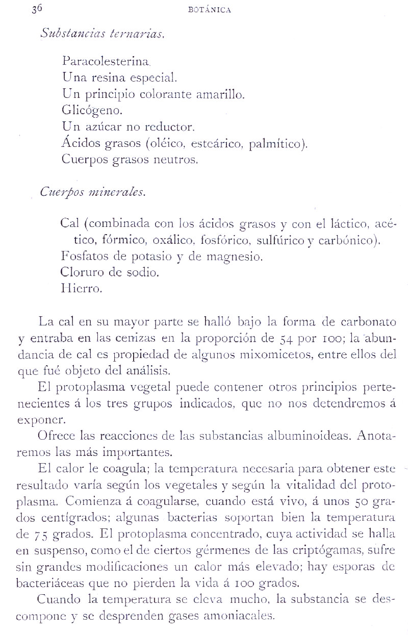 Página 36. Botánica General. Histología. Botánica I por Odón de Buen. Historia Natural. Montaner y Simón, editores. 1891.