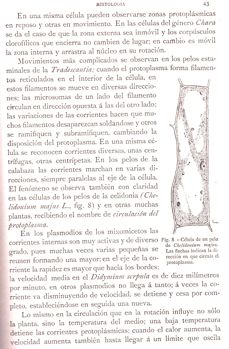 Página 43. Botánica General. Histología. Botánica I por Odón de Buen. Historia Natural. Montaner y Simón, editores. 1891.