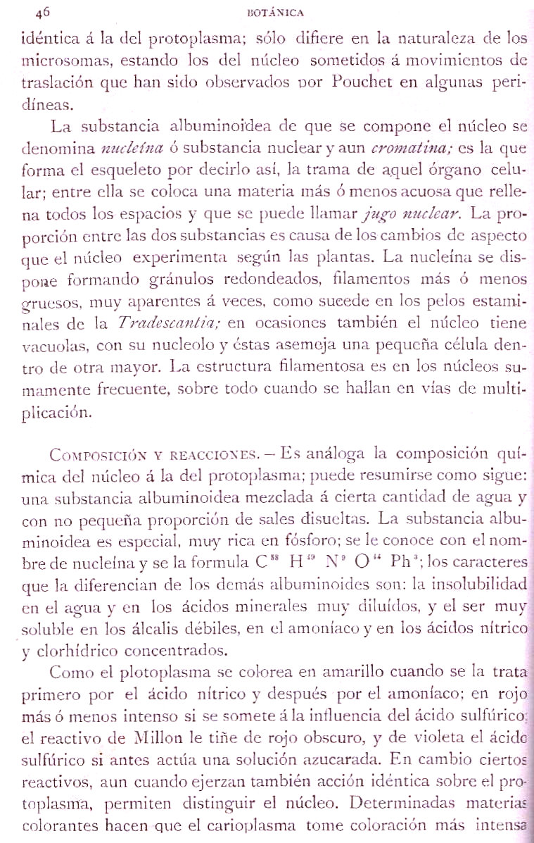 Página 46. Botánica General. Histología. Botánica I por Odón de Buen. Historia Natural. Montaner y Simón, editores. 1891.