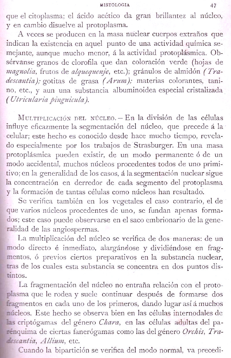 Página 47. Botánica General. Histología. Botánica I por Odón de Buen. Historia Natural. Montaner y Simón, editores. 1891.