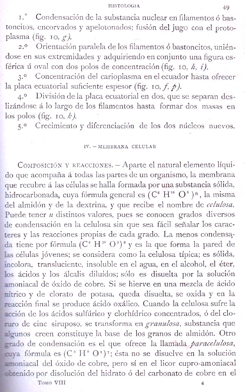 Página 49. Botánica General. Histología. Botánica I por Odón de Buen. Historia Natural. Montaner y Simón, editores. 1891.
