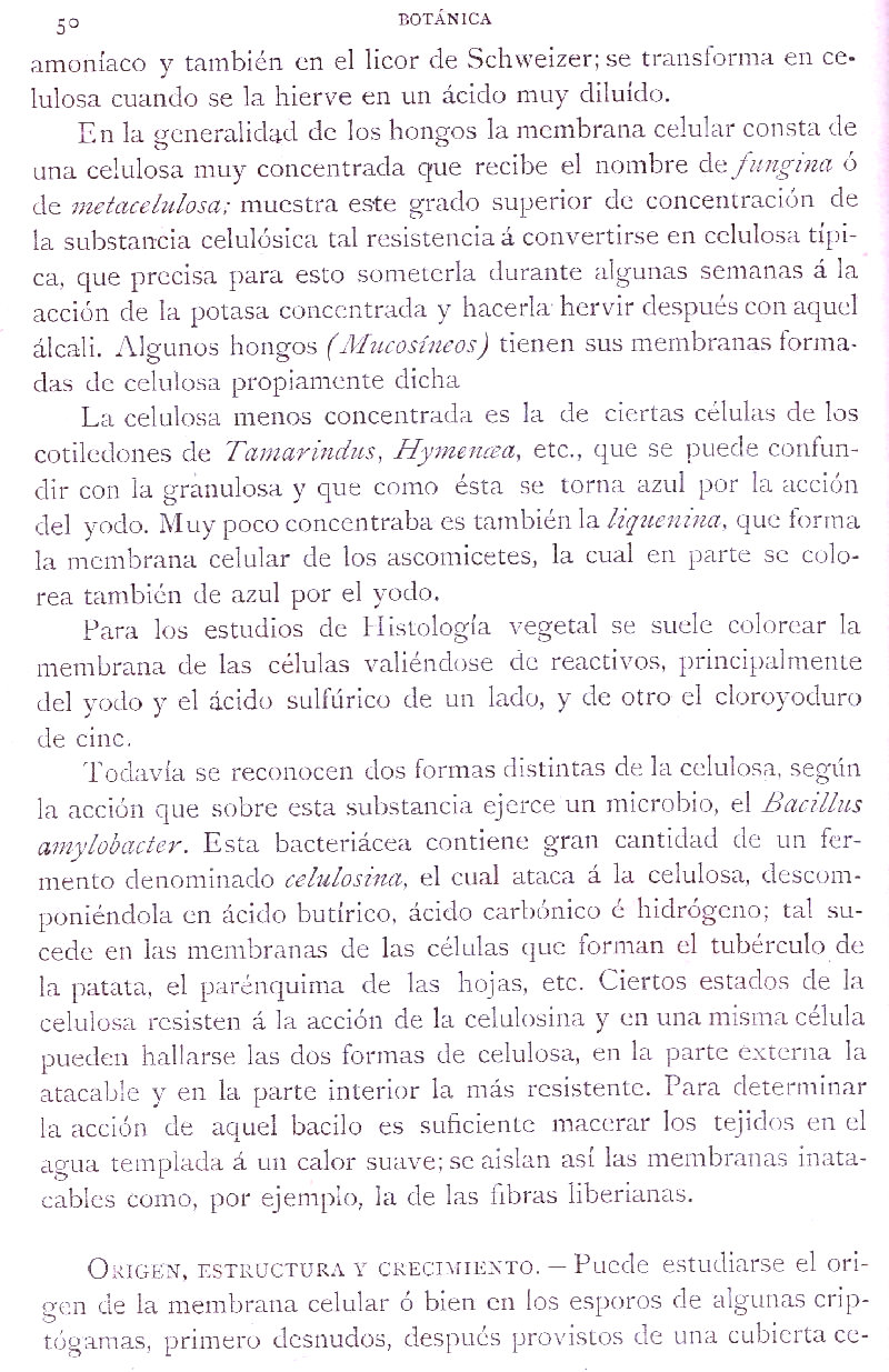 Página 50. Botánica General. Histología. Botánica I por Odón de Buen. Historia Natural. Montaner y Simón, editores. 1891.