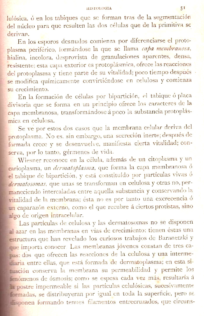 Página 51. Botánica General. Histología. Botánica I por Odón de Buen. Historia Natural. Montaner y Simón, editores. 1891.