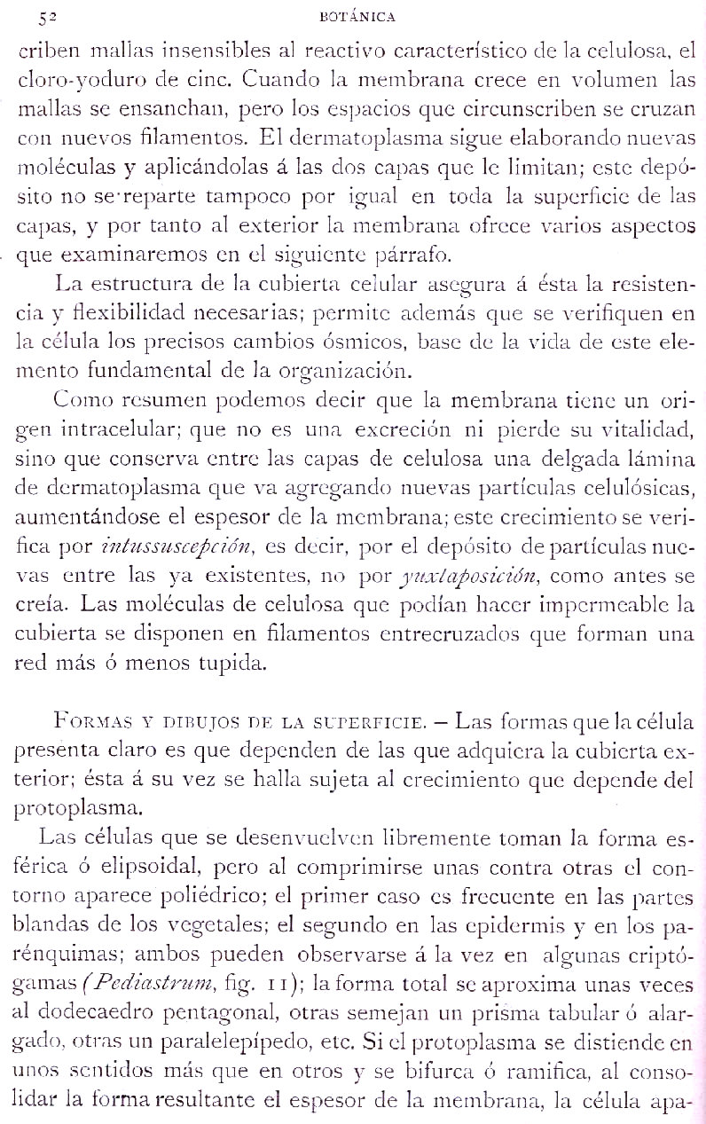 Página 52. Botánica General. Histología. Botánica I por Odón de Buen. Historia Natural. Montaner y Simón, editores. 1891.