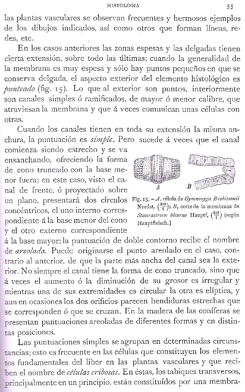 Página 55. Botánica General. Histología. Botánica I por Odón de Buen. Historia Natural. Montaner y Simón, editores. 1891.