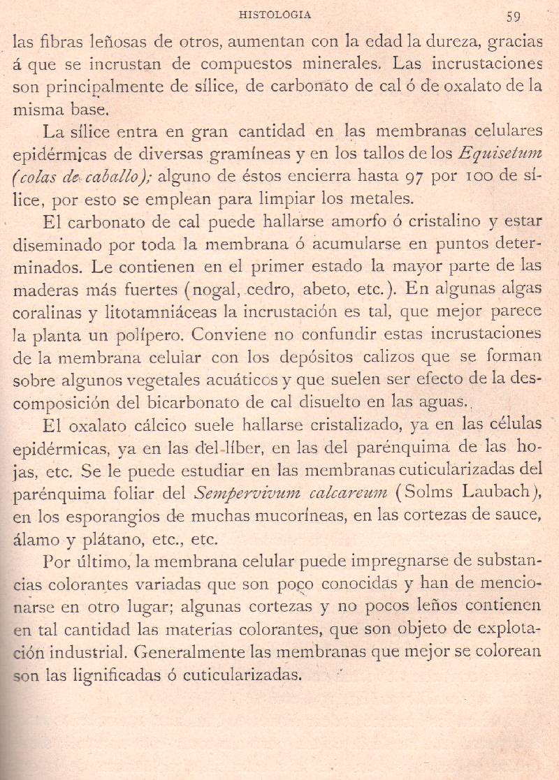 Página 59. Botánica General. Histología. Botánica I por Odón de Buen. Historia Natural. Montaner y Simón, editores. 1891.