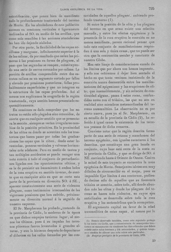 Página 725. Tomo I. Geología. Tratado XI. Labor geológica de los seres vivos.