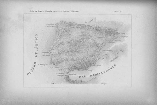 Lámina XII. Tomo I. Geología. Tratado XIII. Geología especial de España. (Primera parte).