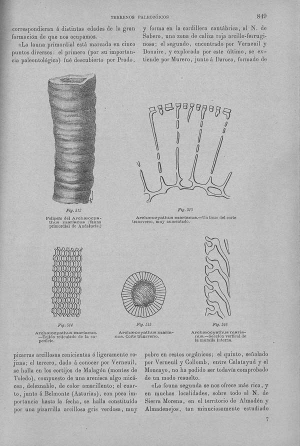 Página 849. Tomo I. Geología. Tratado XIV. Geología especial de España. (Segunda parte).