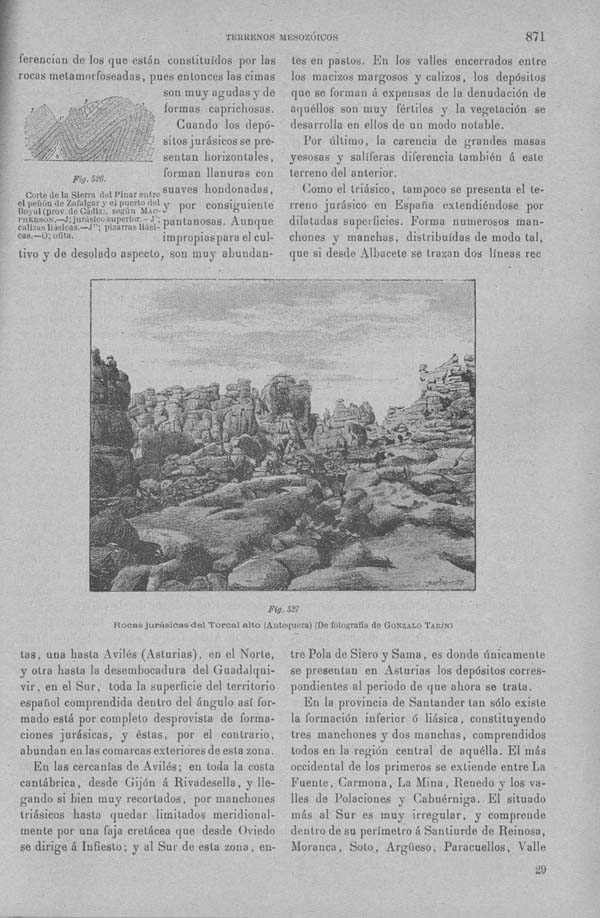 Página 871. Tomo I. Geología. Tratado XIV. Geología especial de España. (Segunda parte).