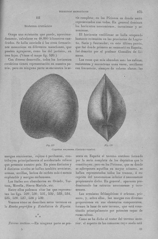 Página 875. Tomo I. Geología. Tratado XIV. Geología especial de España. (Segunda parte).
