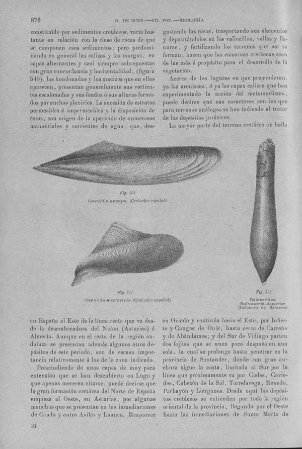Página 876. Tomo I. Geología. Tratado XIV. Geología especial de España. (Segunda parte).