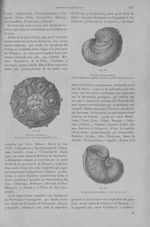 Página 877. Tomo I. Geología. Tratado XIV. Geología especial de España. (Segunda parte).