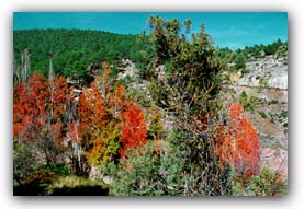 albarracín 1.