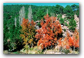 albarracin 2.