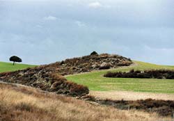 Monegros y Sabina