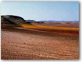 Belchite 5