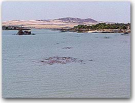 La Salada de Alcaniz. Estanca de Alcañiz 12