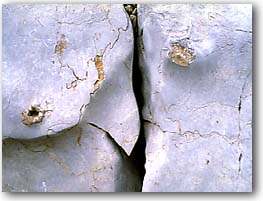 Piedra Ornamental del Maestrazgo (Teruel) 13