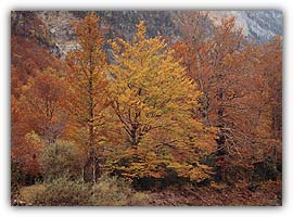 Otoño en Ordesa 2