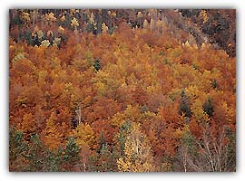Otoño en Ordesa p1