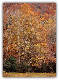 Otoño en Ordesa i4
