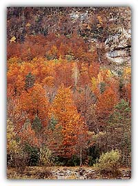 Otoño en Ordesa i5