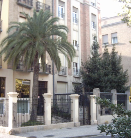 Palmeras en el Paseo Sagasta en jardines particulares de Zaragoza en el año 2005 46