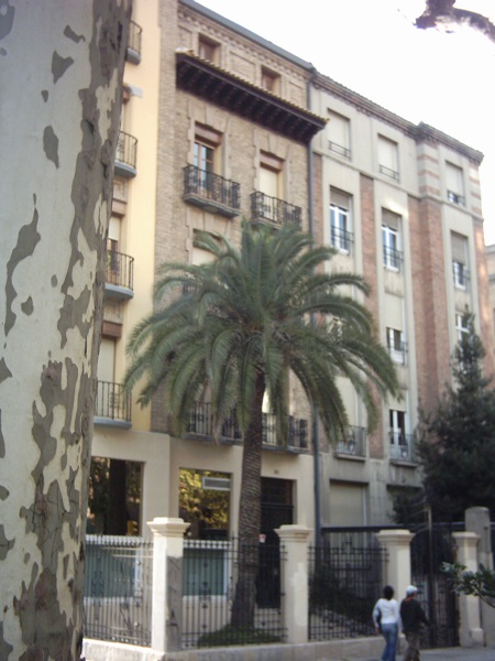 Palmeras en el Paseo Sagasta en jardines particulares de Zaragoza en el año 2005 47