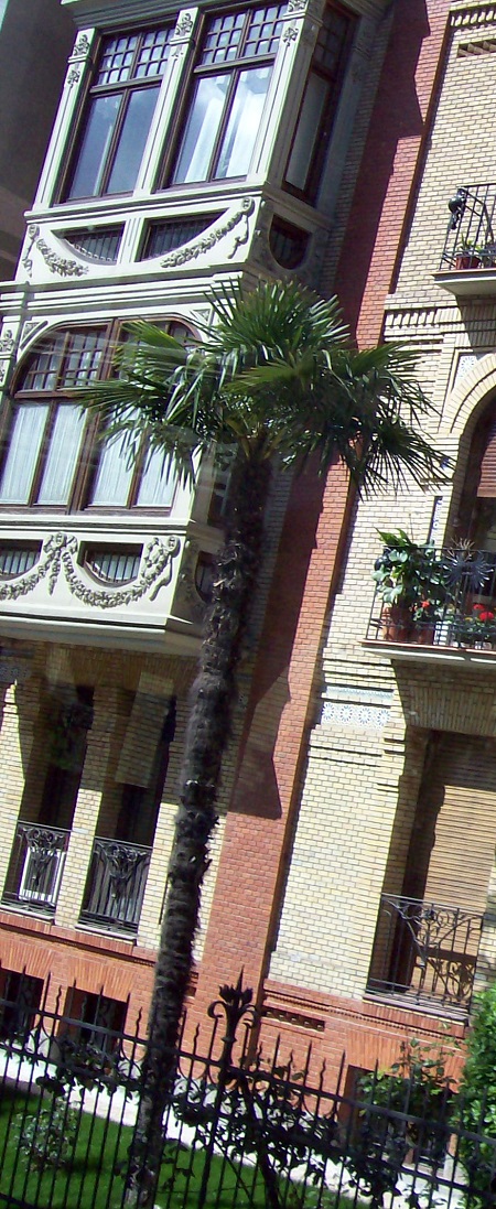 Palmeras en el Paseo Sagasta en jardines particulares de Zaragoza en el año 2008